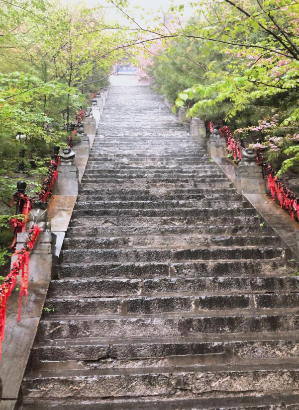 5cc7bc0593b02.png 5cc7bc0593b02.png