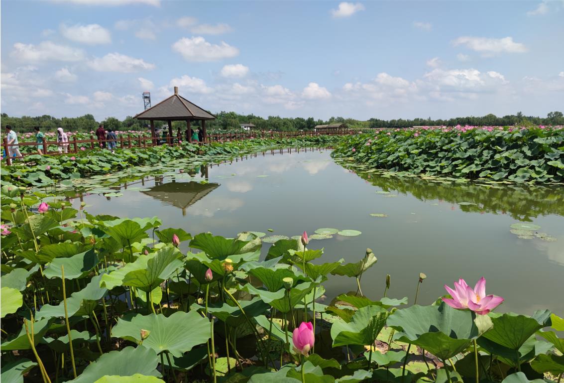 60ee8d7e6b224.jpg 60ee8d7e6b224.jpg